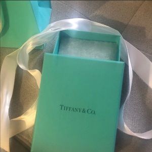 Tiffany & Co. gift bag